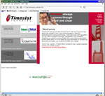 Timeslot Trunking